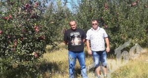 Двама предприемчиви българи наследиха запустяла земя