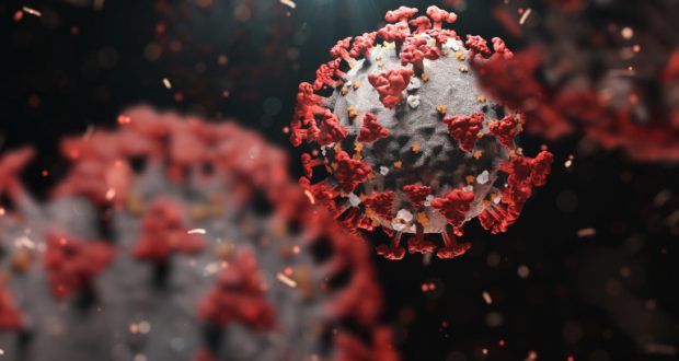 Има и такива хора! Кои не могат да се разболеят от коронавируса?