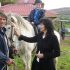 Как Бети и Ники с четири деца развъждат 700 крави из Родопите