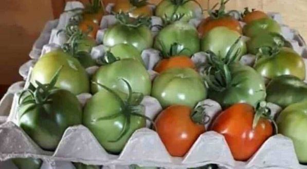 Дойде ли септември слагам доматите в картонени кутии за яйца - перфектният трик от време оно ще го оцените: